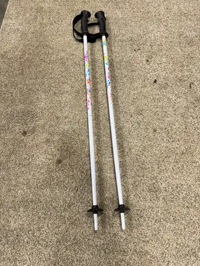 kids ski poles, View more
