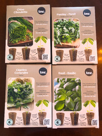 Herb seed plug plants