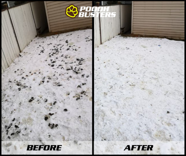 Poooh Busters Pet Waste Removal Service in Animal & Pet Services in Calgary - Image 3