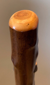 Chestnut Walking Stick with Leather Strap