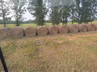 Grass hay bales for sale. 4x6 Round Approx 40 bales available right now. More to come. Baled dry.