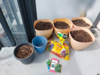 Gardening stuff - pots, seeds & soil