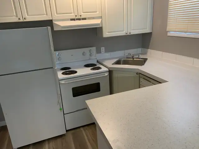 One B/R apartment for rent in Beltline (downtown)