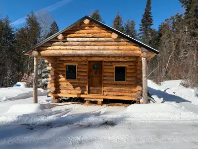 Hand picked, white spruce logs, harvested Jan -Feb 2024, from Witch Bay Road. Butts 13”-8”, Tips 11”...