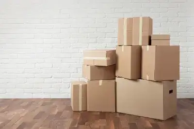 Free Boxes460148685438330880
