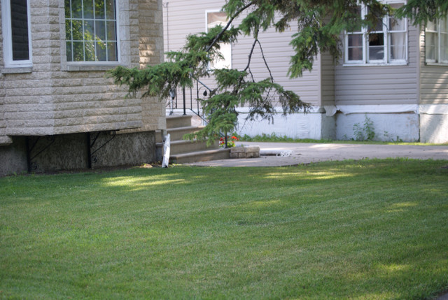 Discount Lawn Mowing and Maintenance in Lawn, Tree Maintenance & Eavestrough in Winnipeg - Image 3