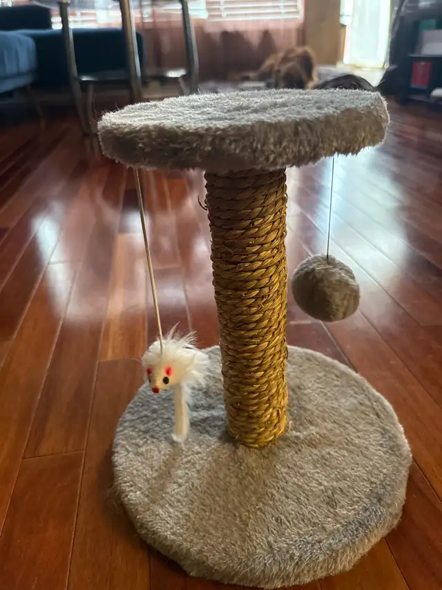 Cat mini tower64181159631746120