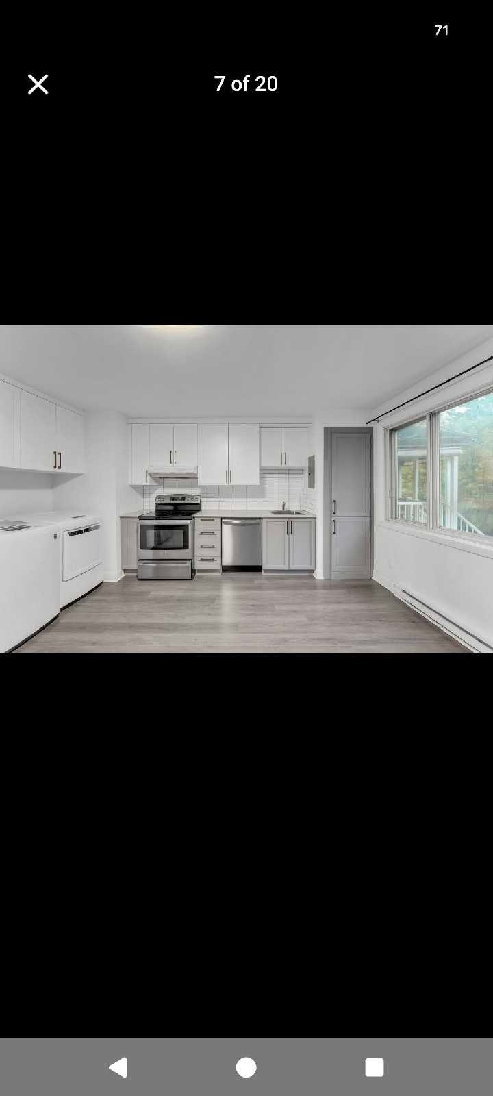 2138 Rue Saint-Donat — photo 3