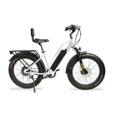 wildgoose s ebike like new , View more