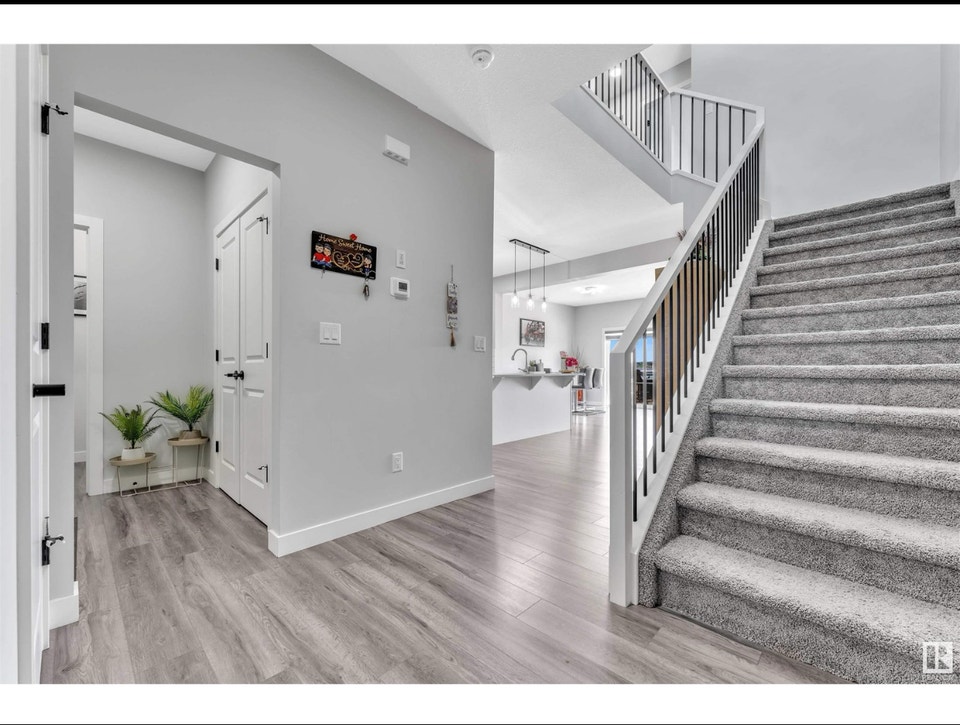 3 rooms house for rent in the Beautiful area of Orchards 2