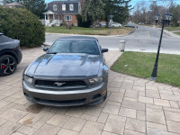 Mustang Convertible 2010 for Sale