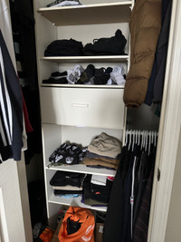 Full closet organizer with shelves and drawer