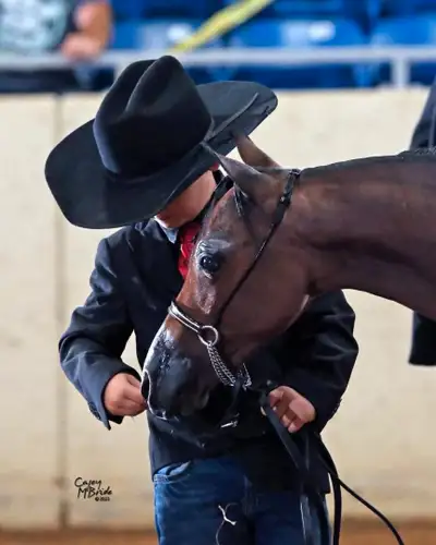 MJM Bey Heiress:2022 AMHR/ASPC registered mare.Already a NATIONAL FUTURITY CHAMPION as a weanling an...