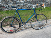 Single speed with vintage Japanese frame