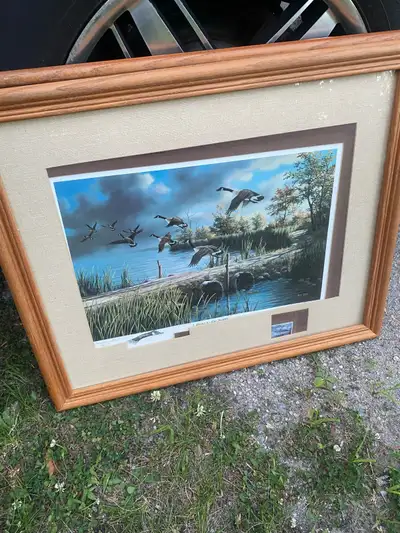 Ducks Unlimited  commerative print, View more