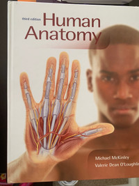 Human anatomy 