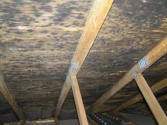 Asbestos and mold remediation - Mississauga / Peel Region in Renovations, General Contracting & Handyman in Mississauga / Peel Region