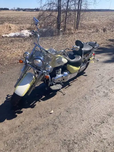 1998 Suzuki intruder 1500 with 59k km on it. Runs and drives great. Has hard removable saddle bags....