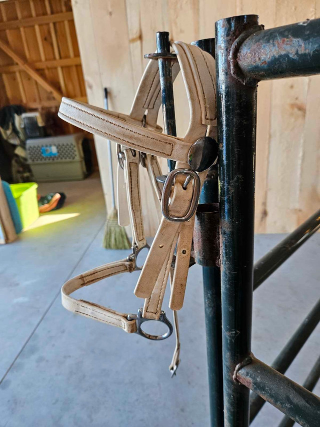 Mini horse tack in Equestrian & Livestock Accessories in Belleville - Image 3