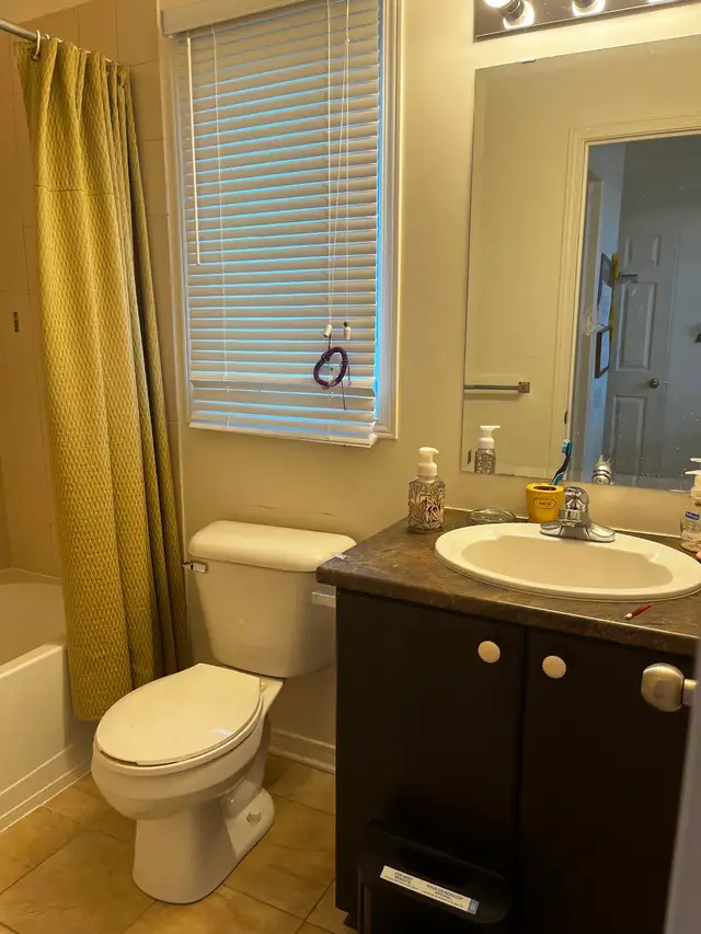 One bedroom with private bathroom for rent in Room Rentals & Roommates in Ottawa - Image 7
