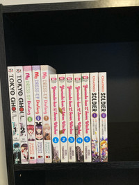 Manga Lot