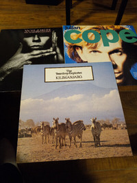 Vinyl Records The Teardrop Explodes,Julian Cope Lot of 3 Perfect