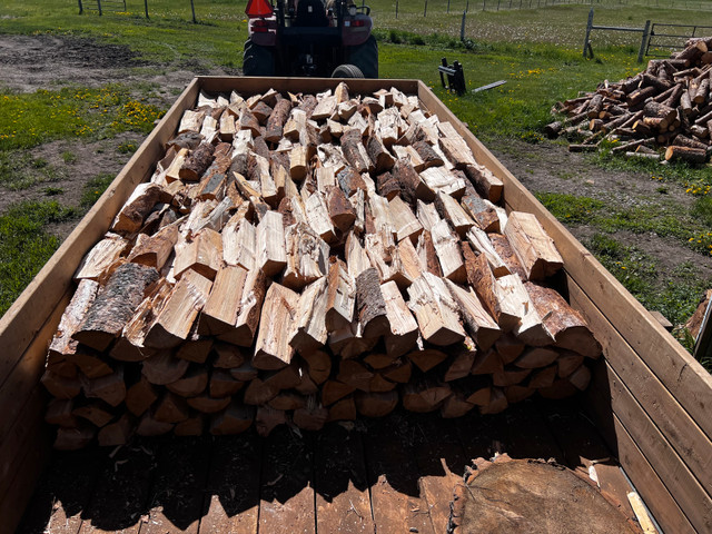 Hammer Firewood in Other in Calgary - Image 3