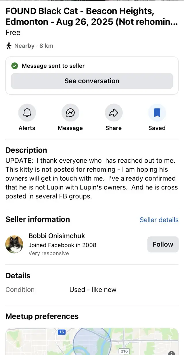 Beautiful Lost Kitty Cat--Needs to Get Home in Lost & Found in Edmonton - Image 3