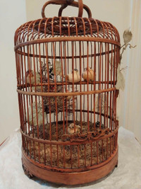 Cage d'oiseaux décorative 