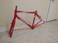 Schwinn cycle cross eu frame