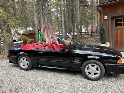 Mustang Foxbody 1991