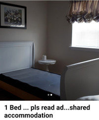 Room for Rent / Shared Accommodation - pls read ad