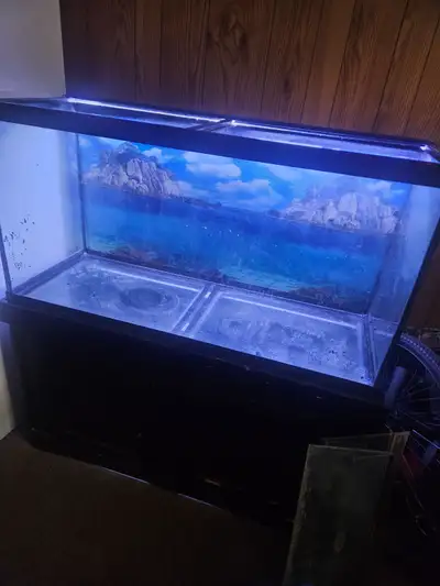 90g fish tank with stand, View more