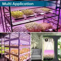 Indoor greenhouse and New LED Grow lights