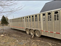 2019 Wilson Foreman 42x8x6'11" Aluminum Gooseneck Livestock Trl 