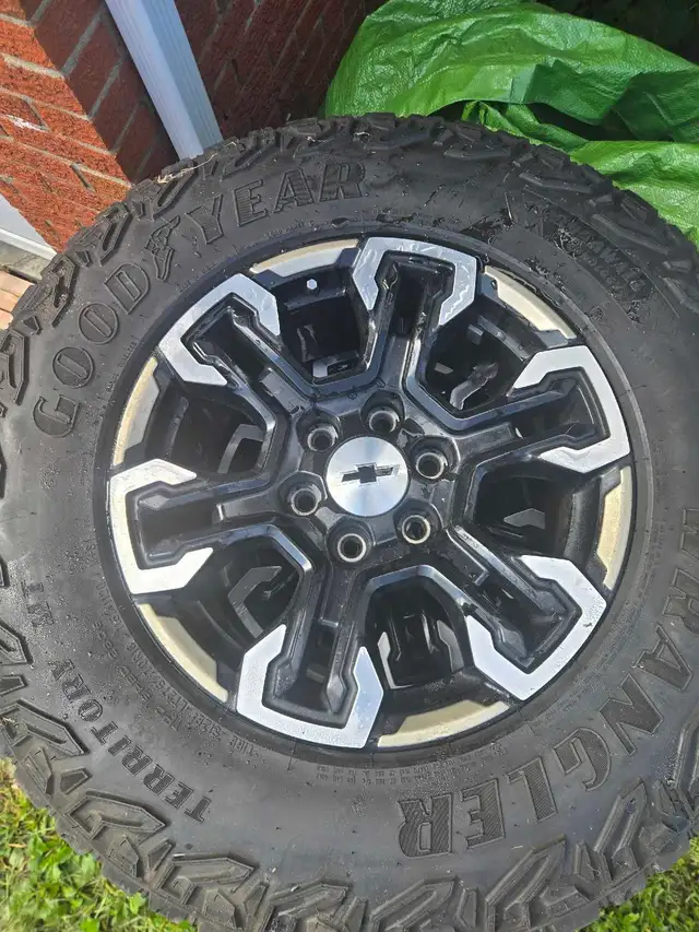 Atf4 rims