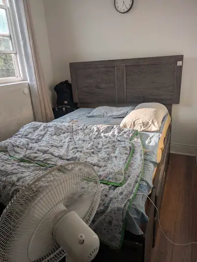 Private room available for a female