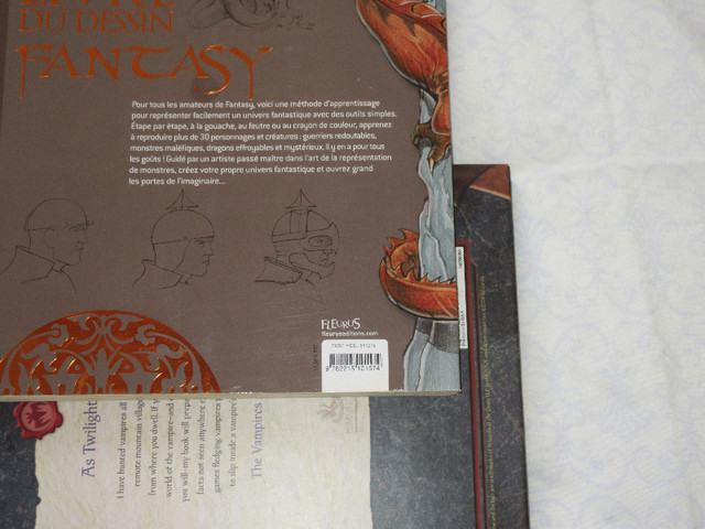 Le grand livre du dessin fantasy Paperback – June 15 2010 dans Livres jeunesse et ados  à Ouest de l’Île - Image 4