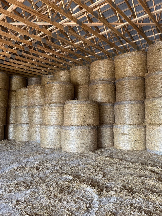 4x5 round bales of wheat straw Other Owen Sound Kijiji