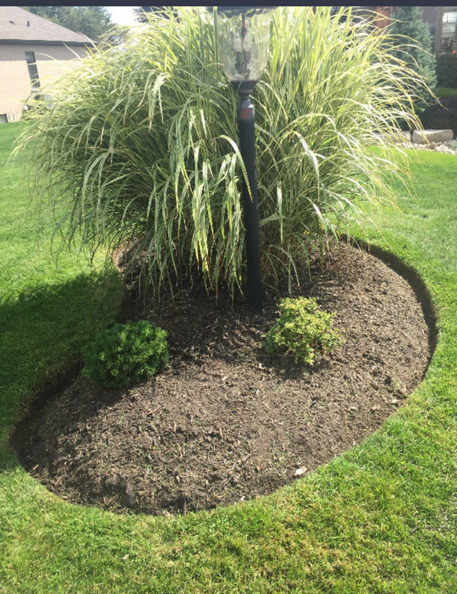 **Quality Landscaping Services** in Lawn, Tree Maintenance & Eavestrough in Dartmouth - Image 3