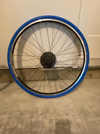 Indoor Trainer Tire