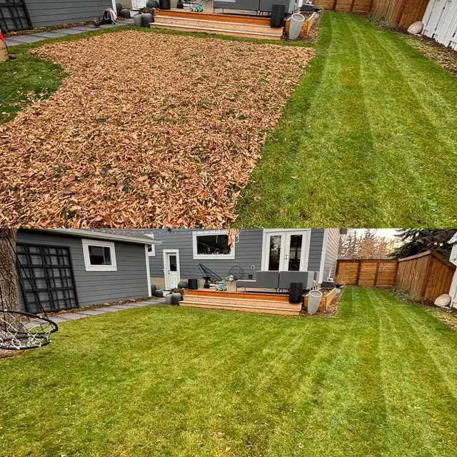 FALL CLEANUP • OVERGROWN YARD586457737531248649