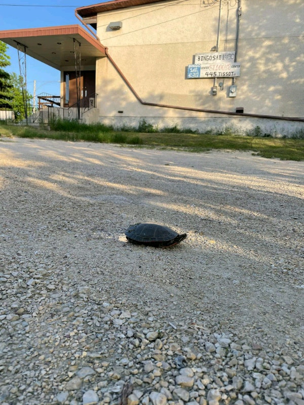 Daycare Space Lease 3200 Square Feet Commercial & Office Space for