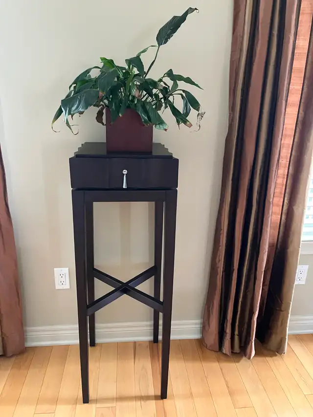 Wood Plant Stand / Key Stand