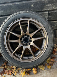 Bronze spoke Racing Sports wheels with Michelin winter tires