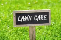 Affordable Lawn Care