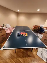 Ping pong table (WIFTFLYTE) set $100 Lake Chaparral