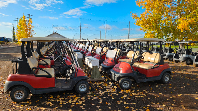Club Car Golf Carts in Golf in Grande Prairie - Image 4