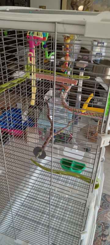Vision double stack bird cage M02 bells & whistles included in Birds for Rehoming in Abbotsford - Image 2