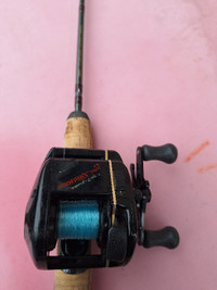 Fishing Rod-Reel and Case